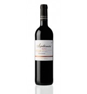 Azpilicueta Crianza Red Wine - Rioja