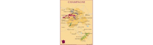 Champagne - Frankreich