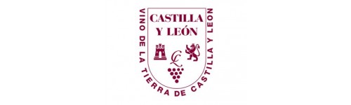 Vinos Tierra Castilla y Leon - Spagna